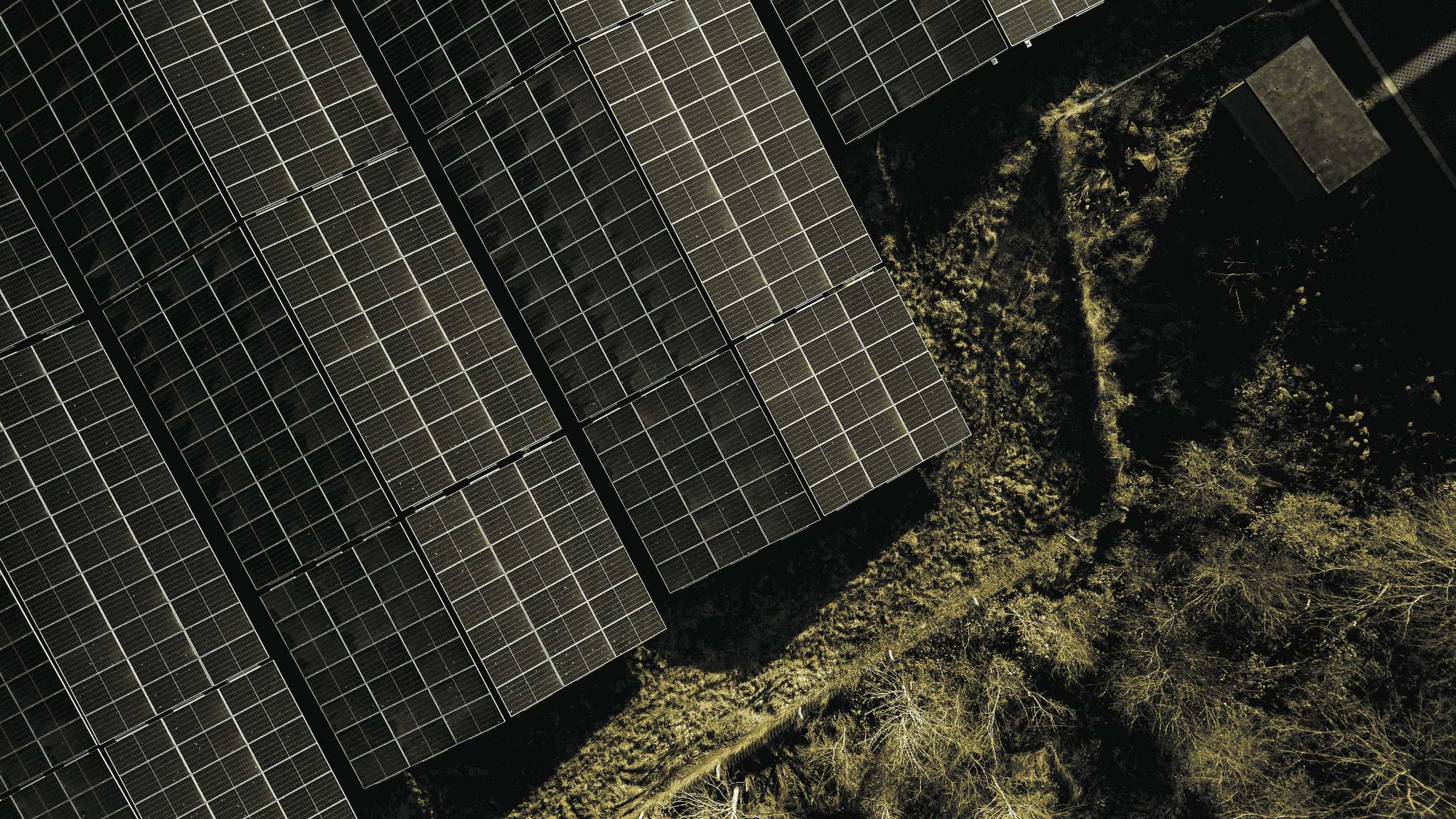 Aerial view of a solar panel array, showcasing multiple panels arranged in rows on a sunny day.