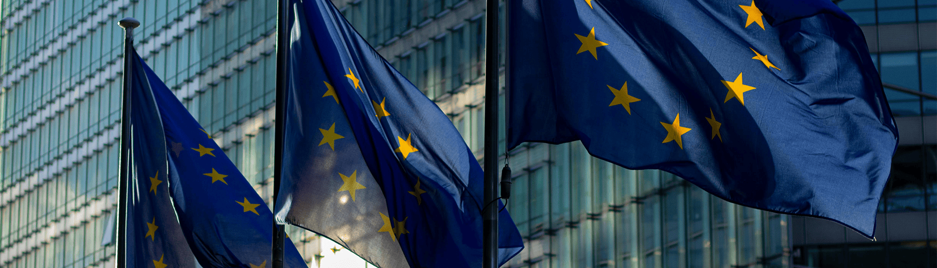 ETS2 Flag EU