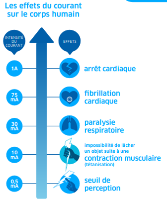 TRNG Scale risk