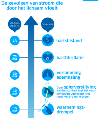 TRNG Scale risk NL