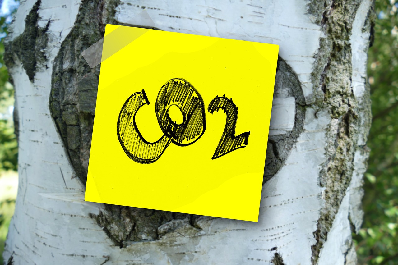 post-it Co2 on tree